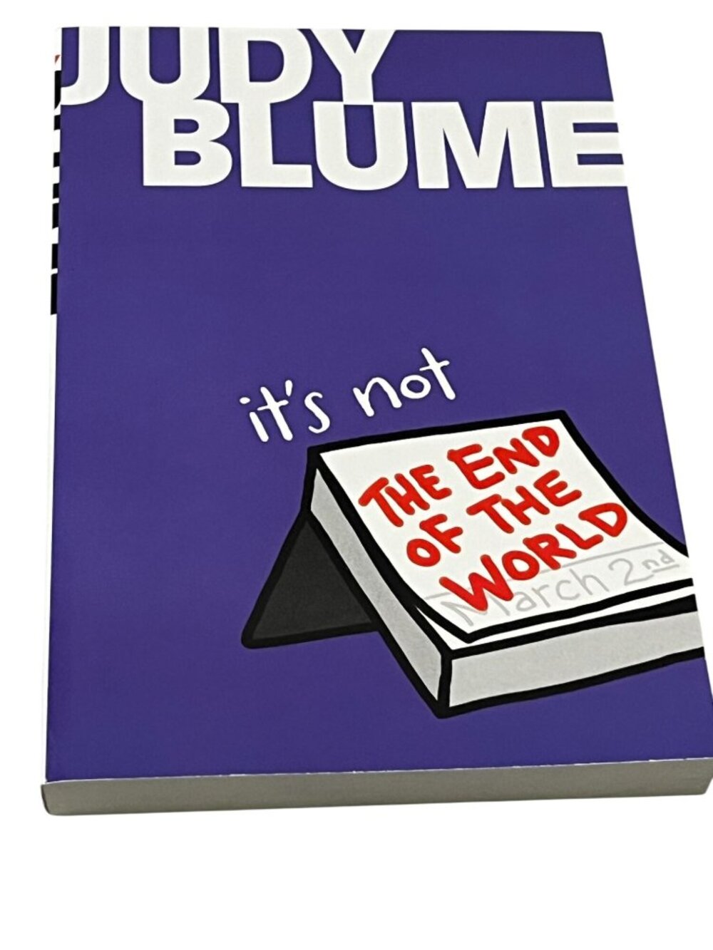 It's Not the End of the World Judy Blume Paperback Chapter Book